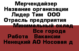 Мерчендайзер › Название организации ­ Лидер Тим, ООО › Отрасль предприятия ­ BTL › Минимальный оклад ­ 17 000 - Все города Работа » Вакансии   . Ненецкий АО,Носовая д.